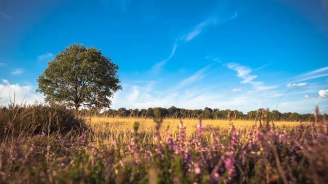 Valpreventie in Emmen